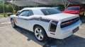 Dodge Challenger 5.7  V8 Wit - thumbnail 9