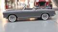 Fiat 1200 Cabriolet Pininfarina Gris - thumbnail 8