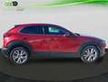 Mazda CX-30 ZENIT Rojo - thumbnail 7