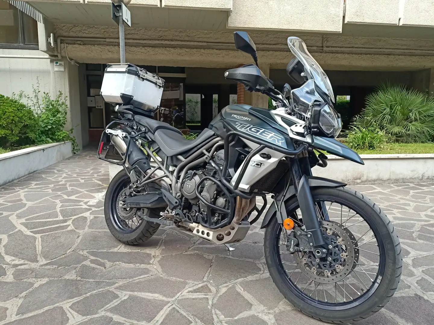 Triumph Tiger 800 xca Verde - 1