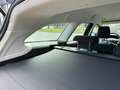 Ford Focus Wagon 1.6 TI-VCT Titanium automaat ,airco, elec pa Grijs - thumbnail 42