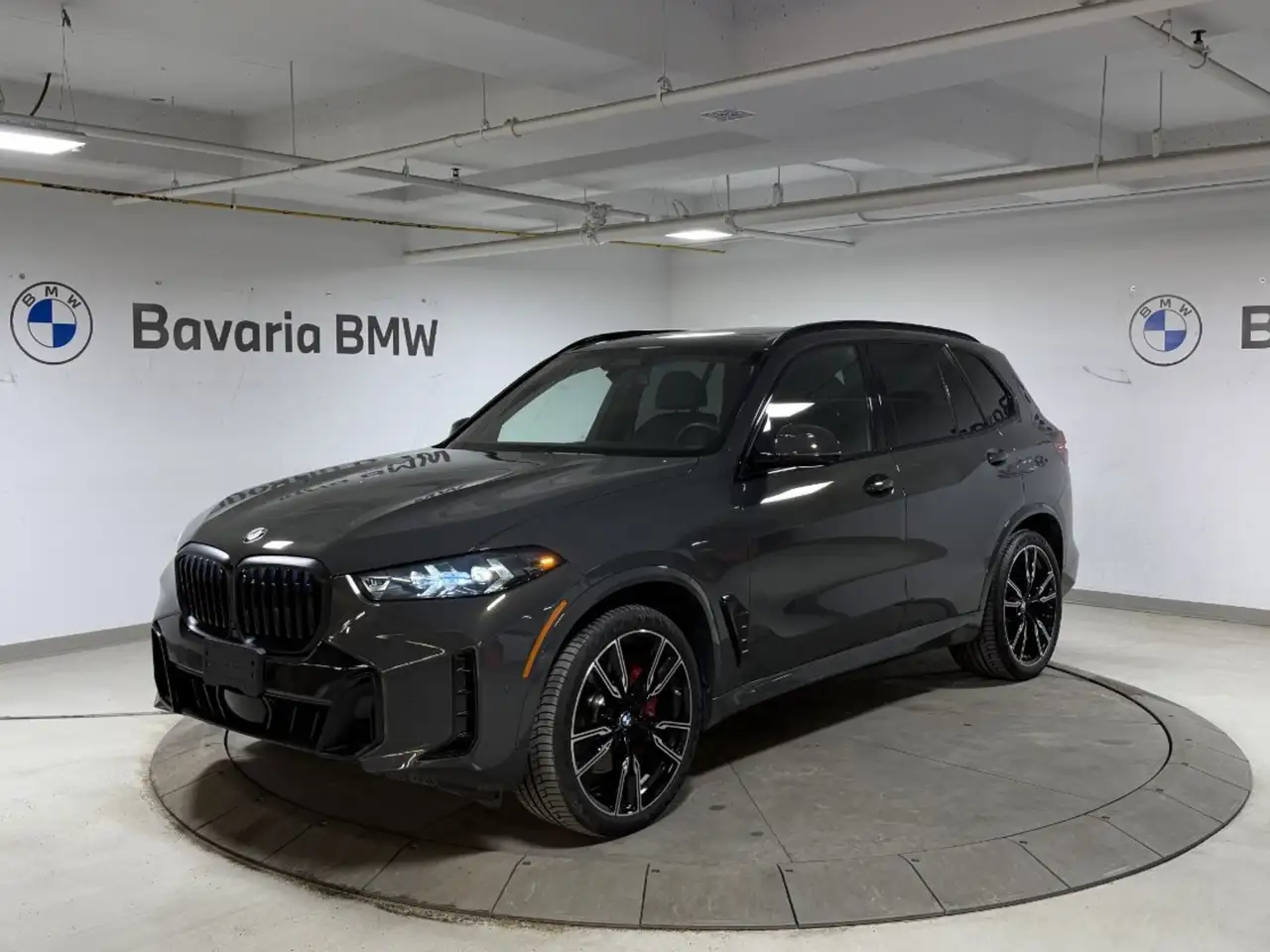 2025 BMW X5