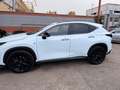 Lexus NX 450h+ NX II 2022 450h+ 2.5 phev F-Sport 4wd e-cvt Bianco - thumbnail 7