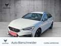 CUPRA Leon Sp. 2.0 TSI DSG ab 279,- EUR mtl. 1000 eHeck FaPa Weiß - thumbnail 1