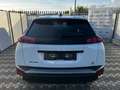 Peugeot 2008 2008 1.2cc 100cv  Allure *360° camera* Bianco - thumbnail 5