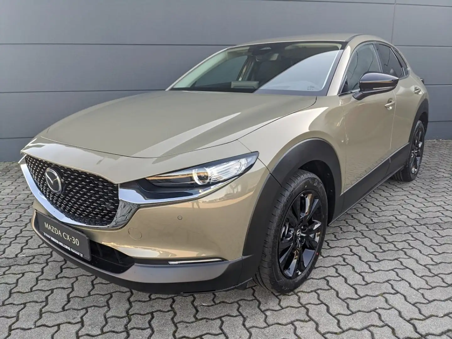 Mazda CX-30 2.0l Skyactiv-X Homura LED Navi Sitzheizung 1.Hand Grün - 2