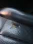 Porsche Cayenne Cayenne S 4,8 V8 Tiptronic S Schwarz - thumbnail 7