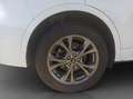 Ford Kuga 2.5 Duratec PHEV ST-LINE Bianco - thumbnail 28