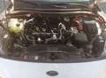 Ford Kuga 2.5 Duratec PHEV ST-LINE Weiß - thumbnail 23