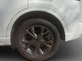 Ford Kuga 2.5 Duratec PHEV ST-LINE Weiß - thumbnail 27