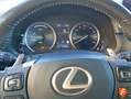 Lexus NX 300 300h Business 2WD Negro - thumbnail 11