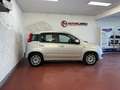 Fiat Panda 1.2 Lounge 69cv Grijs - thumbnail 4