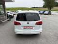 Volkswagen Sharan Business BMT 2,0 TDI *1.BZ*7-SITZER*CARPLAY*NAV Weiß - thumbnail 5