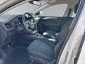 Ford Focus Traveller 1,0 EcoBoost Active Weiß - thumbnail 9