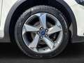 Ford Focus Traveller 1,0 EcoBoost Active Weiß - thumbnail 4