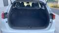 Kia Ceed / cee'd 1.0 MHEV 88KW DRIVE DCT TOURER 120CV 5P Blanc - thumbnail 9