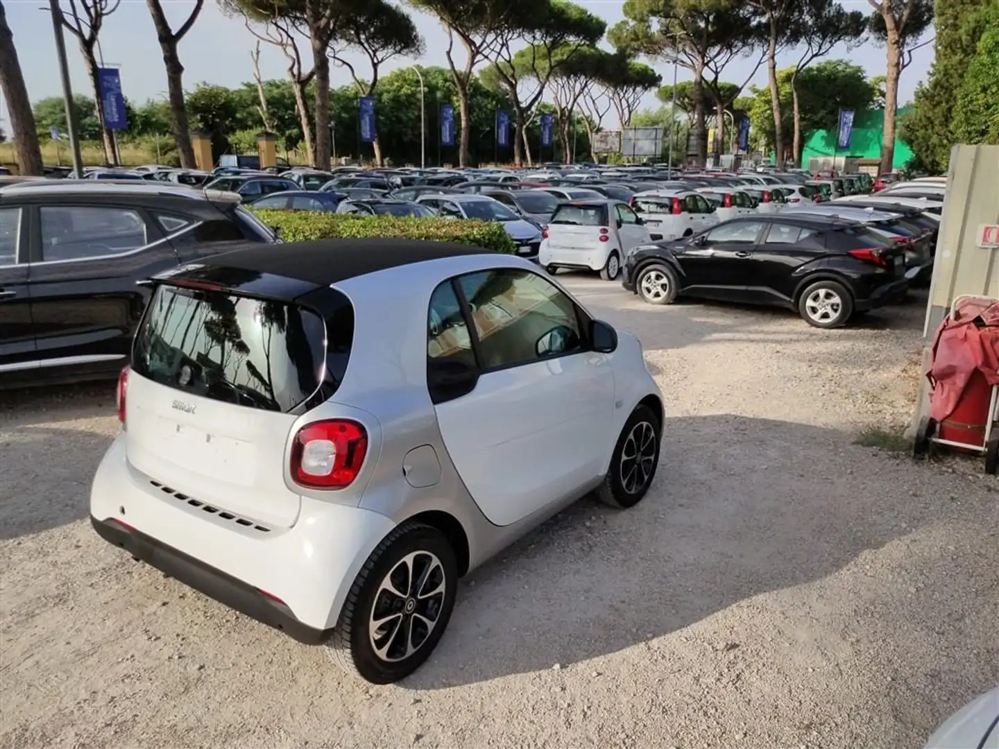smart forTwo 1.0 ANDROID AUTO,CRUISE,CERCHI LEGA,CLIMA .. Bianco - 1