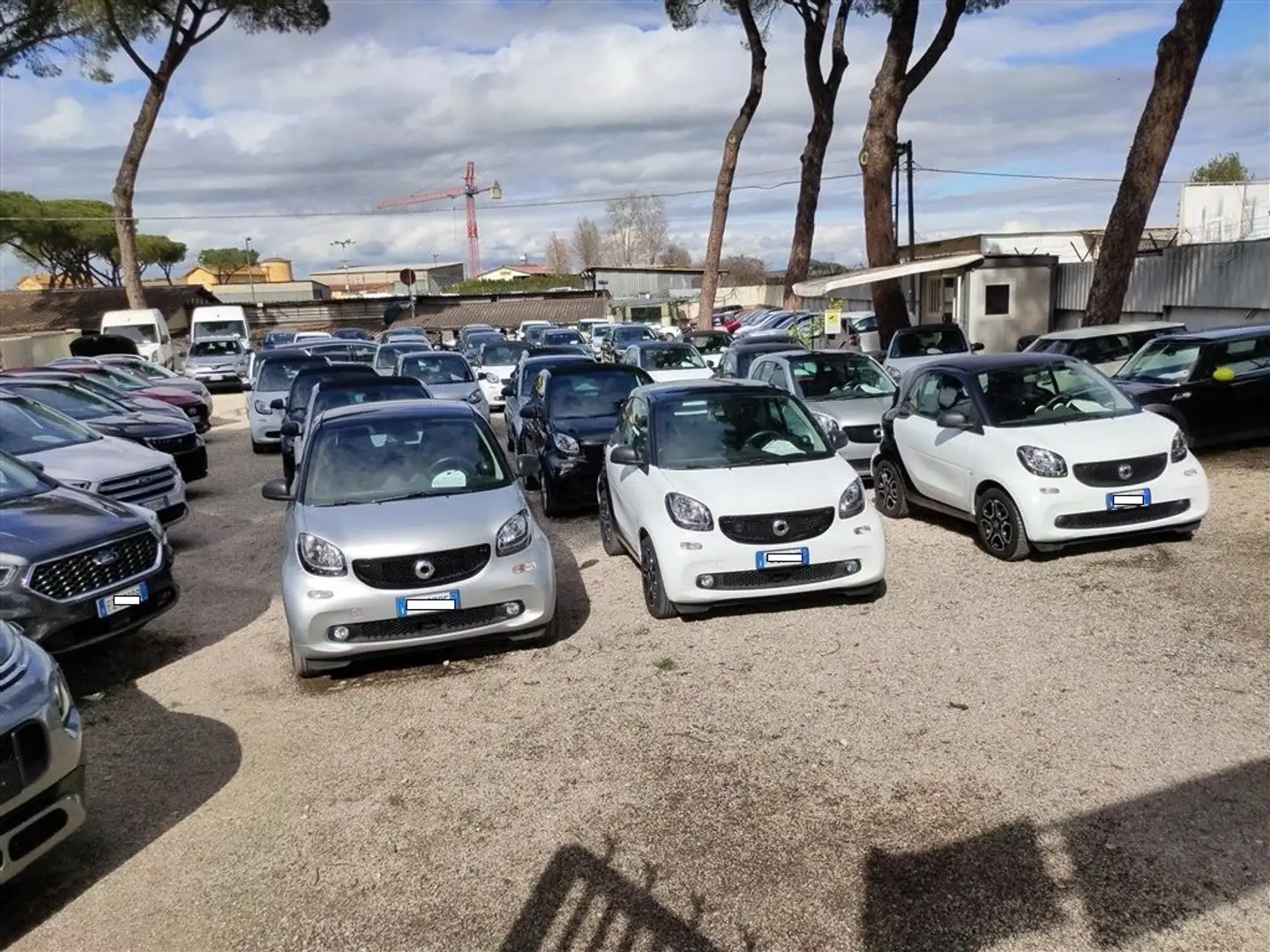 smart forTwo 1.0 ANDROID AUTO,CRUISE,CERCHI LEGA,CLIMA .. Bianco - 2