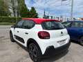 Citroen C3 1.2 puretech Shine s Bianco - thumbnail 6