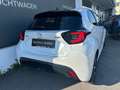 Mazda 2 Mazda2 Hybrid Homura Aut. Weiß - thumbnail 6