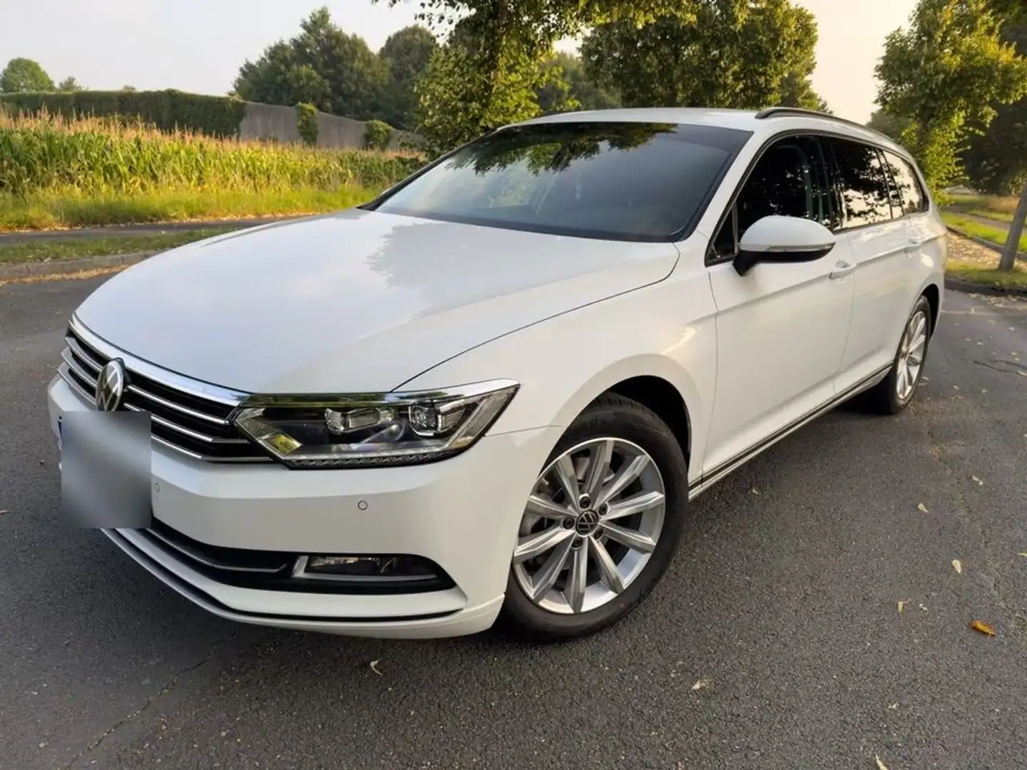 Volkswagen Passat Variant B8 3G Variant 2.0 TDI SCR Trendline - 2