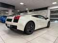 Lamborghini Gallardo Coupe 5.0 SE Blanc - thumbnail 7
