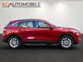 Ford Kuga 2.5 Duratec FHEV Titanium Aut. Rot - thumbnail 3