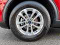 Ford Kuga 2.5 Duratec FHEV Titanium Aut. Rot - thumbnail 9