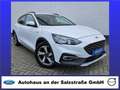Ford Focus ACTIVE*LED*WiPa*RFK*FGS* Weiß - thumbnail 1