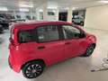 Fiat Panda Panda 1.2 EasyPower Easy Rouge - thumbnail 5