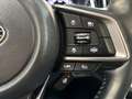 Subaru OUTBACK Outback Platinum Rot - thumbnail 16