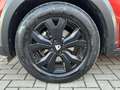 Dacia Jogger Jogger 1.0 tce Extreme UP 110cv 7 posti Brun - thumbnail 8