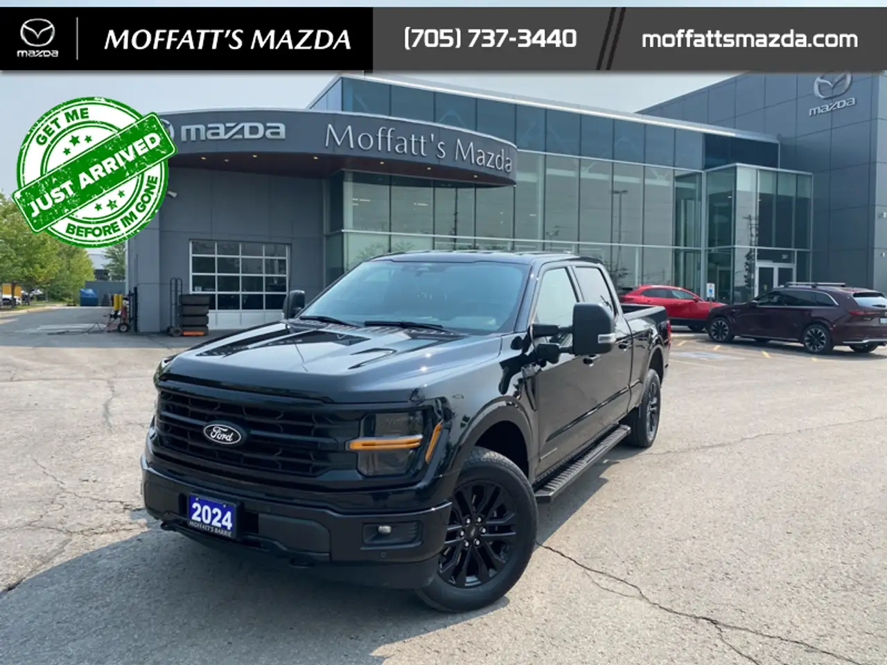 2024 Ford F 150 XLT — photo 1