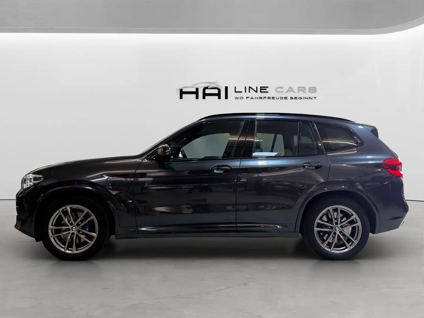 BMW X3 xDrive 30 e M Sport | Kamera | Shadow | Gestik | Grau - 2