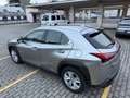 Lexus UX 250h hybrid Executive Business Grigio - thumbnail 2