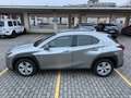 Lexus UX 250h hybrid Executive Business Grigio - thumbnail 10