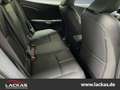 Lexus Relax*Safe & Sound Paket*360°Kamera*M.Levinson Grijs - thumbnail 17