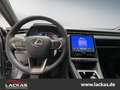 Lexus Relax*Safe & Sound Paket*360°Kamera*M.Levinson Gris - thumbnail 13