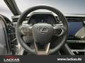 Lexus Relax*Safe & Sound Paket*360°Kamera*M.Levinson Grau - thumbnail 10