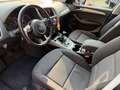 Audi Q5 Advanced Plus 2.0 TDI Gris - thumbnail 10