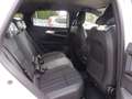 Renault Austral Techno Wit - thumbnail 12