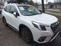 Subaru Forester Forester 2.0ie Lineartronic Active Weiß - thumbnail 6