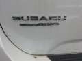 Subaru Forester Forester 2.0ie Lineartronic Active Weiß - thumbnail 3