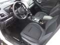 Subaru Forester Forester 2.0ie Lineartronic Active Weiß - thumbnail 8