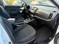 Kia Sportage 2,0 Allrad Vision 4WD Automatik Weiß - thumbnail 18