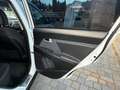 Kia Sportage 2,0 Allrad Vision 4WD Automatik Weiß - thumbnail 20