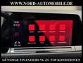 Volkswagen Golf GTD 2.0 TDI DSG Navi/LED/ACC/PDC/17 Gris - thumbnail 22