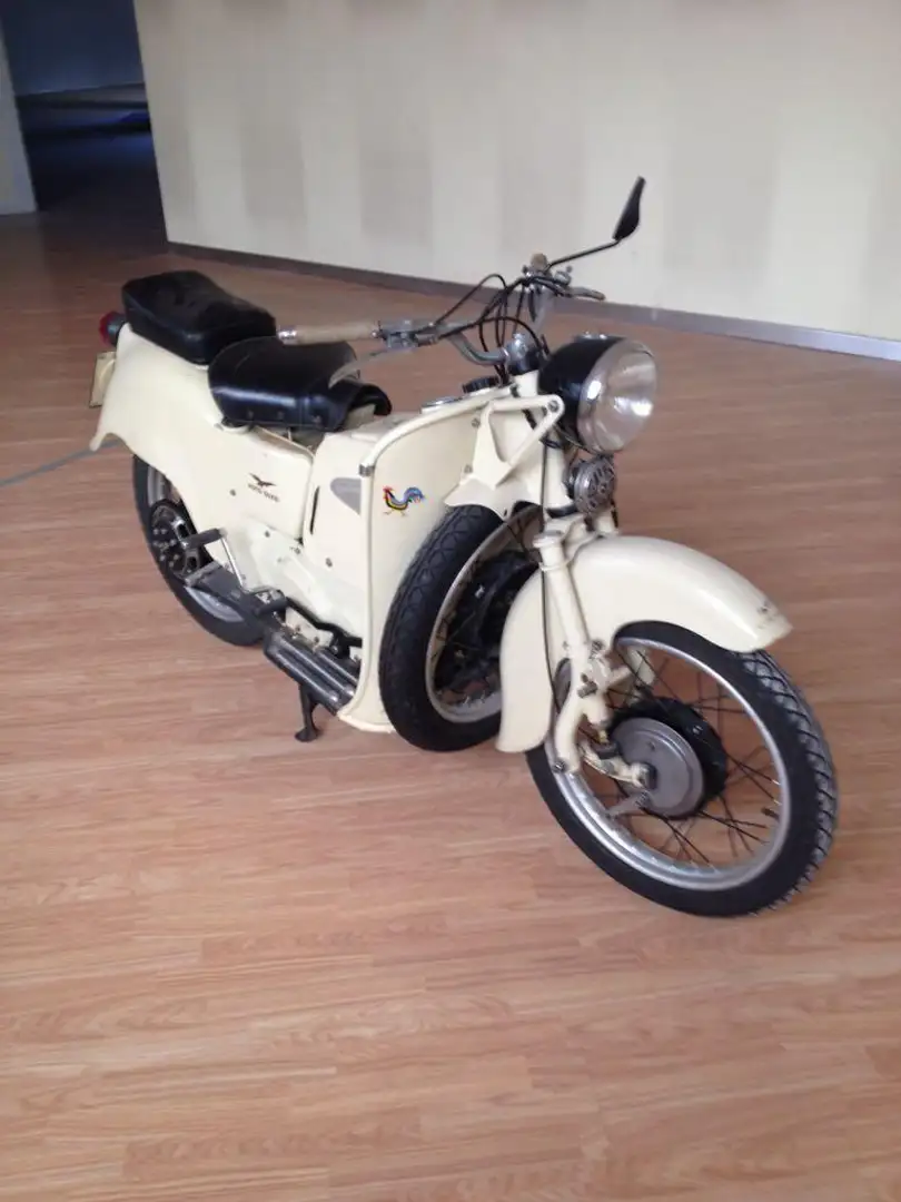 Moto Guzzi Galletto Beige - 2