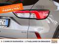 Ford Kuga 2.5 phev titanium 2wd 225cv e-shifter Grigio - thumbnail 16
