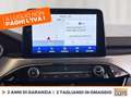 Ford Kuga 2.5 phev titanium 2wd 225cv e-shifter Grigio - thumbnail 23